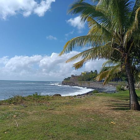 Entre Mer Et Montagne, Appartement Climatise, Vue Mer, Wifi サント・マリー エクステリア 写真